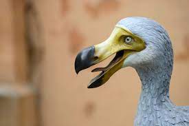 古代生物の復活をもくろむ団体が絶滅した巨大鳥「ドードー」復活プロジェクトを始動 - GIGAZINE