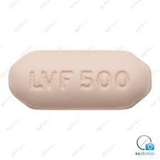 · les pathogènes suspectés et leur sensibilité probable aux agents antibactériens (voir rubrique mises en garde et précautions d'emploi) Sandoz Levofloxacin Tablet 500mg Brunet