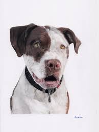 The most sweetest Floss. Pastel predominantly