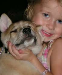 Ft Worth, TX BEAUTIFUL BOY NEEDS YOU ASAP!!! He is about to be euthanized!!  🆘🆘🆘🆘