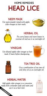 Home Remedies For Head Lice Little Indian Spot Head Lice Remedy Remedies Home Remedies