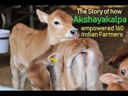 Ever since the rise in popularity of organic foods this article will provide you with a thorough review of the top 7 best organic milk brands in an effort to help you decide and purchase only the best and most trustworthy products on the market today. How Did Akshayakalpa Increase The Monthly Income Of Farmers From Rs 7000 To Rs 48000 Youtube