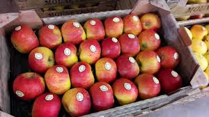 Pommes Mouneyrac De Superbe Qualite Fruits Et Legumes Fruits Pomme