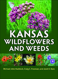 Purple, red, and blue hues can appear in response to a drop in temperature, as chlorophyll production takes its natural break when the days get colder. A New Must Have Plant Identification Book For Kansas Dyck Arboretum