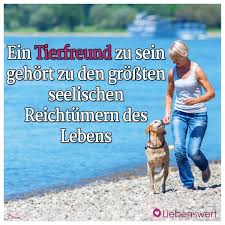Spruche Fur Tierliebhaber Tierfreund Spruche Tiere Tiere