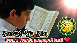 Surat ini diturunkan di kota mekkah, disebut sebagai surat makkiyah. Surat Yasin Merdu Bikin Nangis Beautiful Voice Arab Latin Dan Terjemahan Youtube