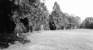 National Park Service