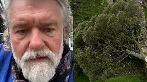 Hairy Bikers say Sycamore Gap tree culprit 'murdered spirit of  Northumberland'