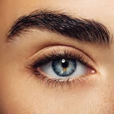 نتیجه جستجوی لغت [eyebrows] در گوگل