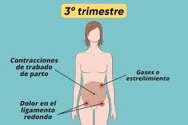 Dolor fuerte e intenso en lado izquierdo de la tripa o abdomen. Dolor En El Vientre En El Embarazo Principales Causas Y Que Hacer Por Trimestre Tua Saude