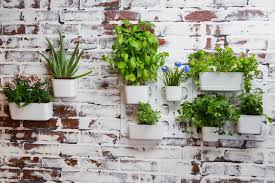 Vertical gardening indoors isn't difficult, and hundreds of plants are suitable for growing vertically indoors. Vertical Garden Everything You Need To Know About Vertical Gardens