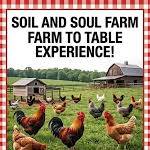 Farm to Table - Organic Chicken BBQ Dinner