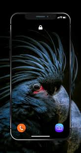 Search free amoled 4k wallpapers wallpapers on zedge and personalize your phone to suit you. Download Amoled Wallpapers 4k Best Hd Super Amoled Pic Free For Android Amoled Wallpapers 4k Best Hd Super Amoled Pic Apk Download Steprimo Com