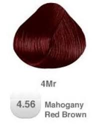 Pravana Hair Color 4 56 Mahogany Red Brown Image Beauty Pravana Hair Color Hair Color Mahogany Mahogany Hair