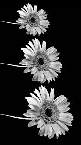 Cool Iphone 7 Wallpaperhd Tumblr 43 Black Wallpapers Tumblr Black Wallpaper Iphone Iphone Background Wallpaper