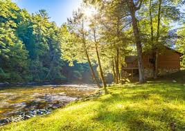 This beautifully decorated one bedroom, one bath ellijay georgia pet friendly log cabin, with large fenced yard, in the blue ridge mountains, is so comfortable summer or winter, you may. Rivers D Lite Blue Ridge Cabin Georgia Mountain Cabin Rentals