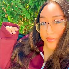 Rude Behavior Over Virtual Pets