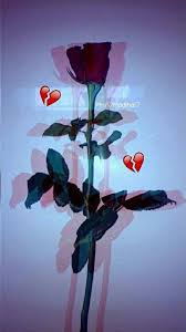 Pin On Wallpaper S Snap S Collection by mariam kusiani • last updated 9 weeks ago. pin on wallpaper s snap s