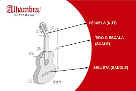 Guitarist And Size Of The Spanish Guitar Guitarras Alhambra