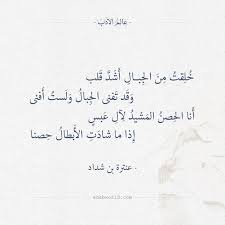 خلقت من الجبال أشد قلب عنترة بن شداد عالم الأدب arabic poetry quotations arabic quotes