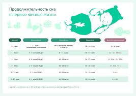 Skolko Spyat Zdorovye Mladency