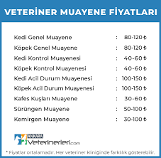 Veteriner Klinikleri Fiyatlari