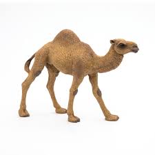Denim & more fashion design webshop: Papo 50151 Dromedar Tierfiguren Figuren Bei Spielzeug Guenstig De