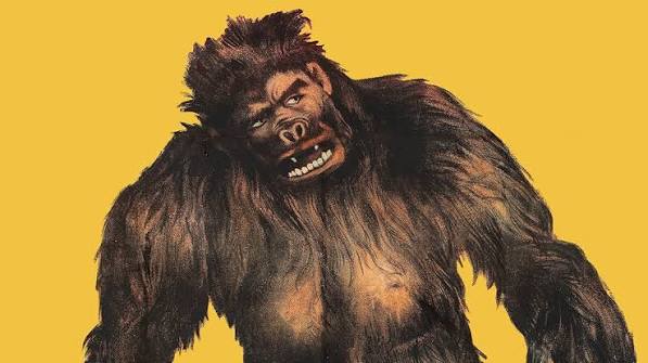 Prime Video: Nabonga Gorilla