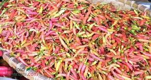 Cili merah besar red chili 大红辣椒 100g | shopee malaysia. Ulah Pedagang Harga Cabai Rawit Di Nunukan Meroket Jelang Lebaran