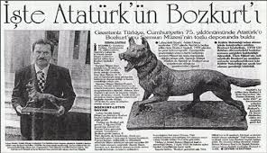 Ataturk Bir Bozkurt Tur Deyimler Tarih Fotograf