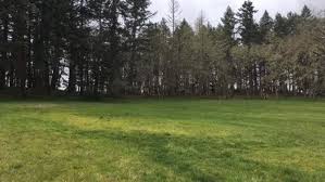 Check spelling or type a new query. Eweb To Rebuild Both College Hill And Hawkins Hill Water Towers Kval