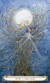 Xvii The Star Tarot Cards Art Star Tarot Tarot Cards