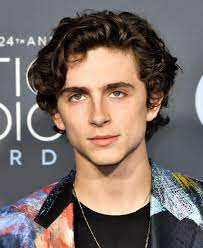 Best medium haircuts for round faces are bobs, layers and shags. 11 Trending Curtain Hairstyles Worth Looking At 2020 Update