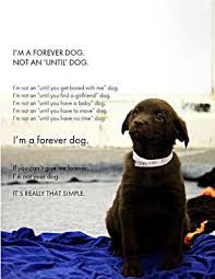 Love This Saying It Is So True Dog Quotes Baby Dogs Dogs