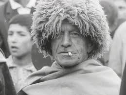 bande annonce : Les Saisons Horae quidem cedunt...