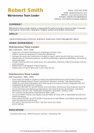 Key skills described in a team leader resume sample are teamwork, leadership, very good interpersonal and communication abilities, self motivation, and managerial experience. Maintenance Team Leader Resume Samples Qwikresume