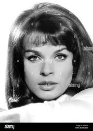 Berger hi-res stock photography and images