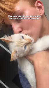 o baralho não mente #baralho #cartas