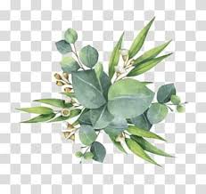 Gum Trees Euclidean Leaf Flower Watercolor Green Leaves Green Leaf Plants Transparent Background Png Cl Flower Png Images Flower Painting Flower Illustration