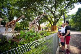 Dapatkan promo bali zoo dengan memesan tiket di traveloka.com. Promo Harga Tiket Zoo Negara Terbaru 2021