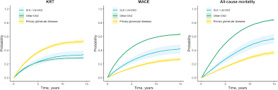 Long-term Outcomes of Lupus Nephritis in Comparison to Other CKD Etiologies