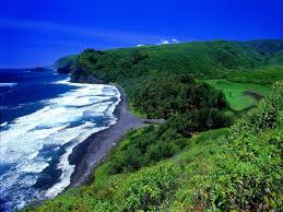 Check spelling or type a new query. Kohala Forest Reserve Hawaii United States Of America Background Free Download Pictures