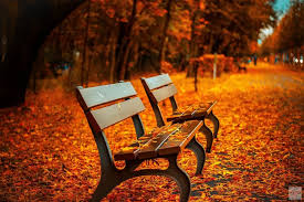 Meteorologische herfst van start - Amsterdamsdagblad.nl