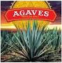 Agave Mexican Grill from order.online