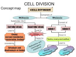 Click the button for 100% free full practice test. Biology Form 4 Chapter 5 Cell Division Cell Division Concept Map Consist Of Occur In Lead To Cell Division Mitosismeiosis Controlled Mitosisuncontrolled Ppt Download