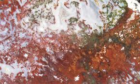 Image result for Agate Red Brown 1956 Wayne Works