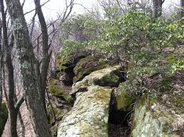 We did not find results for: Shallenberger State Nature Preserve Ohio Department Of Natural Resources
