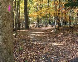 Hartwood Nature Trail, Pennsylvania