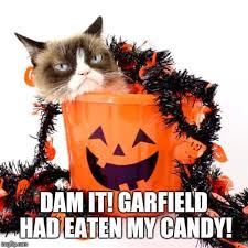 We did not find results for: Scary Funny Happy Halloween Memes 2021 Images Of All Time