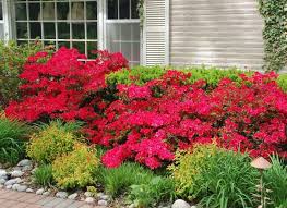 Landscape Gardening Orpington Small Front Yard Landscaping Azaleas Landscaping Landscaping Shrubs